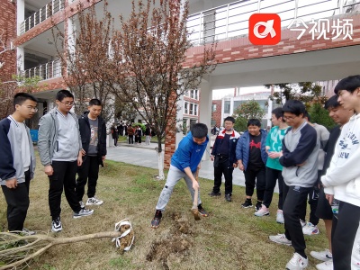 爱绿护绿 向美而行——湾里一中开展植树节主题实践活动