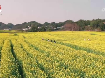南铁“赏春专列”上线