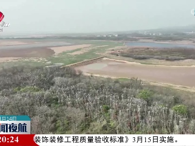 新闻夜航20230314