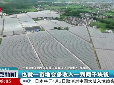 整点新闻20230404 10:00