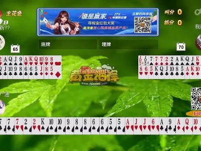 谁是赢家20230417
