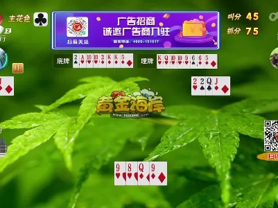 谁是赢家20230401