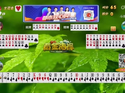 谁是赢家20230411