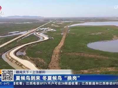 都市现场·午间版20230401