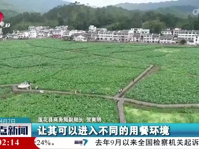 整点新闻20230407 12:00