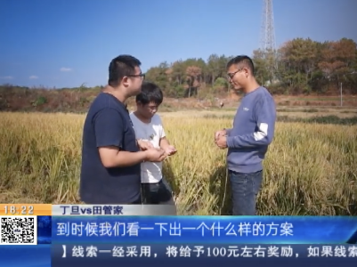 《我要回农村》·宜春高安：“海归”丁旦种田记