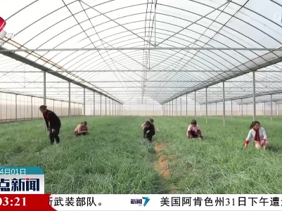 吉安市开展科技下乡活动