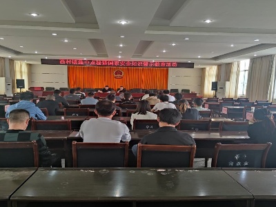 宜春袁州：西村镇积极开展“4.15”国家安全教育日活动
