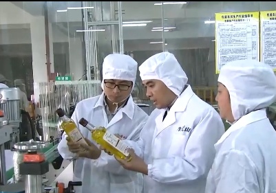 江西开展山茶油生产经营违法违规行为专项整治