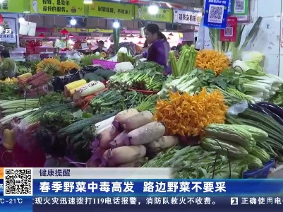 健康提醒——春季野菜中毒高发 路边野菜不要采