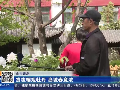 山东青岛：赏夜樱观牡丹 岛城春意浓