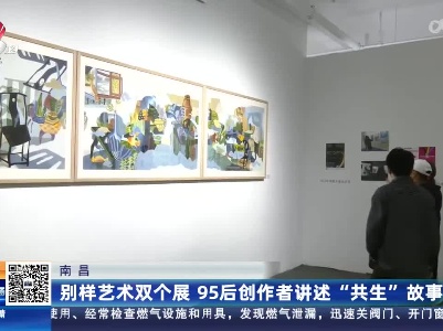 南昌：别样艺术双个展 95后创作者讲述“共生”故事