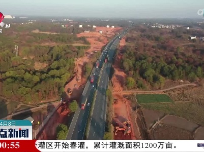 整点新闻20230408 16:00