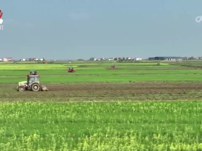 “双管齐下” 低产旱地变良田