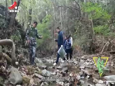 走近自然20230429