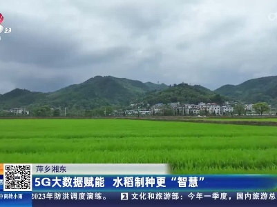 萍乡湘东：5G大数据赋能 水稻制种更“智慧”