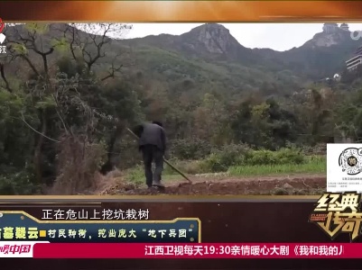 经典传奇20230413 古墓疑云·村民种树，挖出庞大“地下兵团”