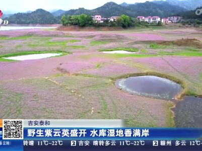都市现场20230407