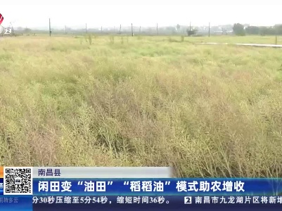 南昌县：闲田变“油田” “稻稻油”模式助农增收