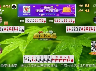 谁是赢家20230416