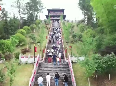 春天里的江西——以茶为媒 赏春景