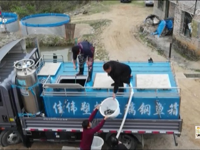 广昌：发展设施渔业新路径 激活乡村振兴新产业