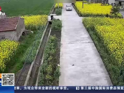 江苏南通：油菜花遮挡视线 汽车电动车相撞
