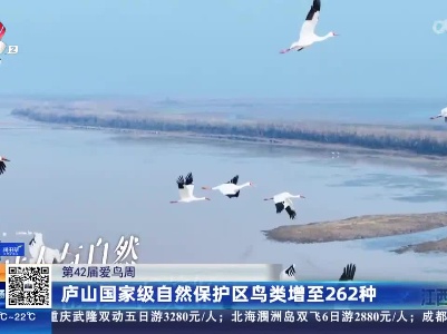 【第42届爱鸟周】庐山国家级自然保护区鸟类增至262种