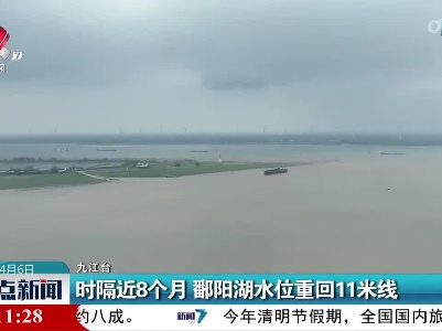 整点新闻20230406 12:00