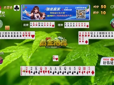 谁是赢家20230405