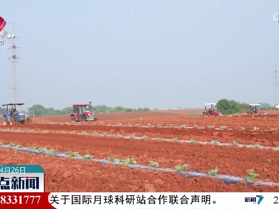 整点新闻20230426 10:00