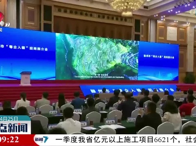 整点新闻20230425 10:00