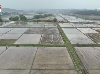 新干：管道改造助力农田精准用水