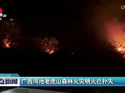 广西河池老虎山森林火灾明火已扑灭