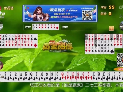 谁是赢家20230412
