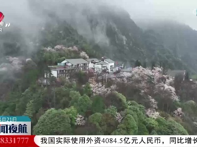【不负好“村”光  文旅“火”起来】小山村向“网红村”蝶变