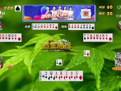 谁是赢家20230425
