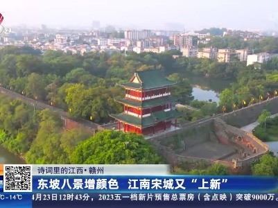 【诗词里的江西】赣州：东坡八景增颜色 江南宋城又“上新”