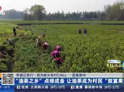 【幸福江西行·我为家乡来打CALL】宜春袁州：“油茶之乡”点绿成金 让油茶成为村民“致富果”