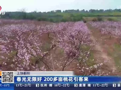 上饶鄱阳：春光无限好 200多亩桃花引客来