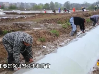新闻晚高峰20230402