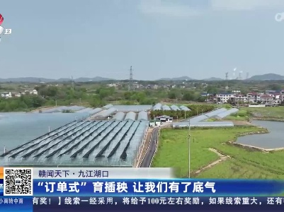 【赣闻天下】九江湖口：“订单式”育插秧 让我们有了底气
