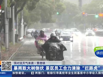 【强对流天气来袭】景德镇：暴雨致大树倒伏 景区员工合力清除“拦路虎”