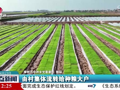 整点新闻20230423 10:00