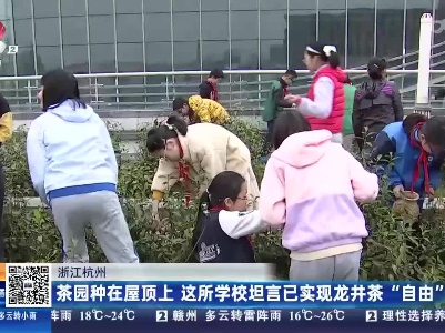 浙江杭州：茶园种在屋顶上 这所学校坦言已实现龙井茶“自由”
