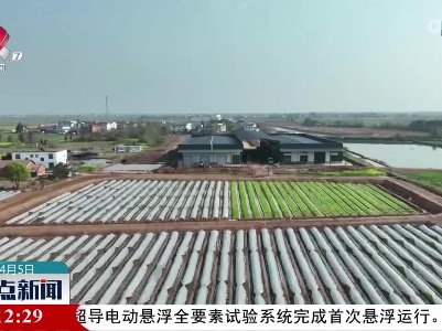 【春耕春种进行时】南昌市新建区：早稻育秧进入尾声 春耕生产加速进行
