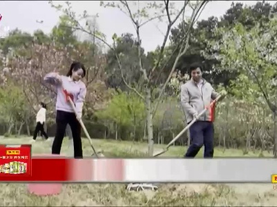 九江：种下一颗树 修复两份情