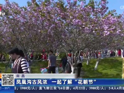 南昌：凤凰沟古风浓 一起了解“花朝节”