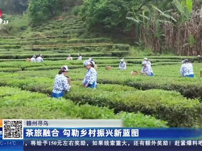 赣州寻乌：茶旅融合 勾勒乡村振兴新蓝图