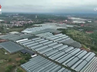 我省新增一个国家级农业标准化示范区项目